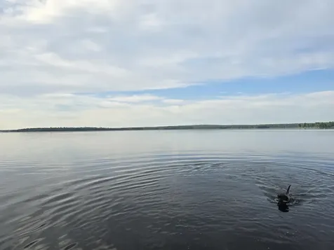 Lot 2 Townline Rock Road Island Falls ME 04747