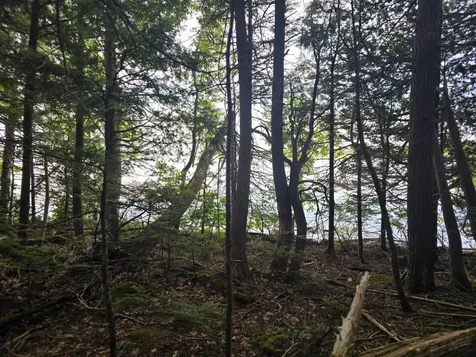 Lot 2 Townline Rock Road Island Falls ME 04747