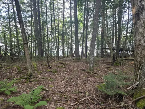 Lot 2 Townline Rock Road Island Falls ME 04747