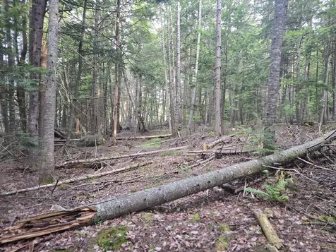 Lot 2 Townline Rock Road Island Falls ME 04747