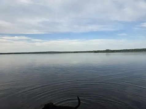 Lot 2 Townline Rock Road Island Falls ME 04747