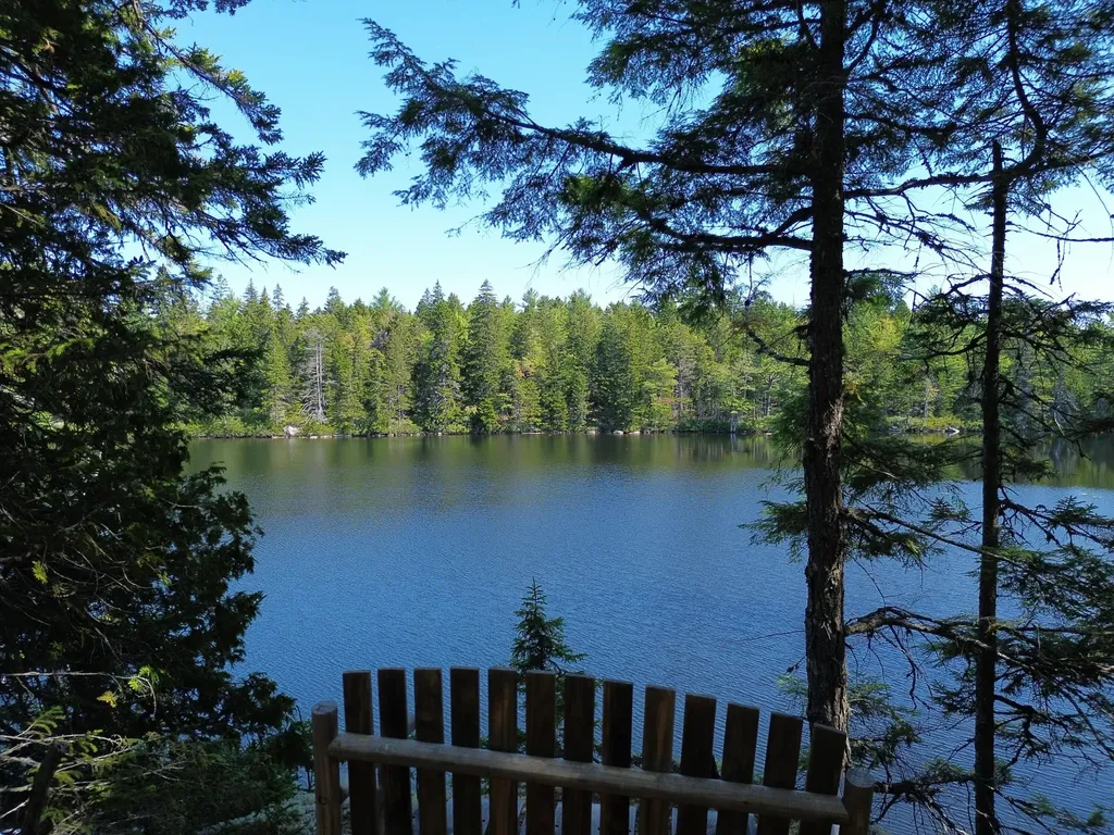 41 Sportsmen's Lodge Road Marshfield ME 04654