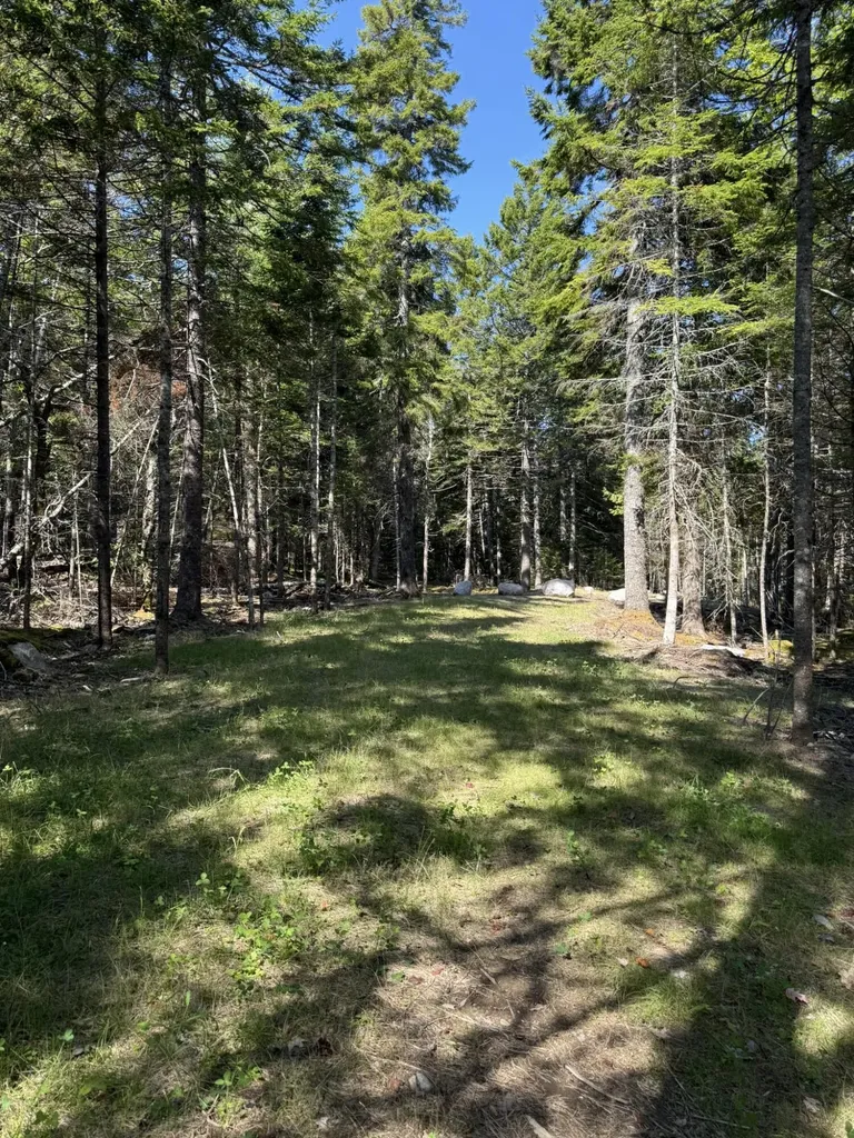 41 Sportsmen's Lodge Road Marshfield ME 04654