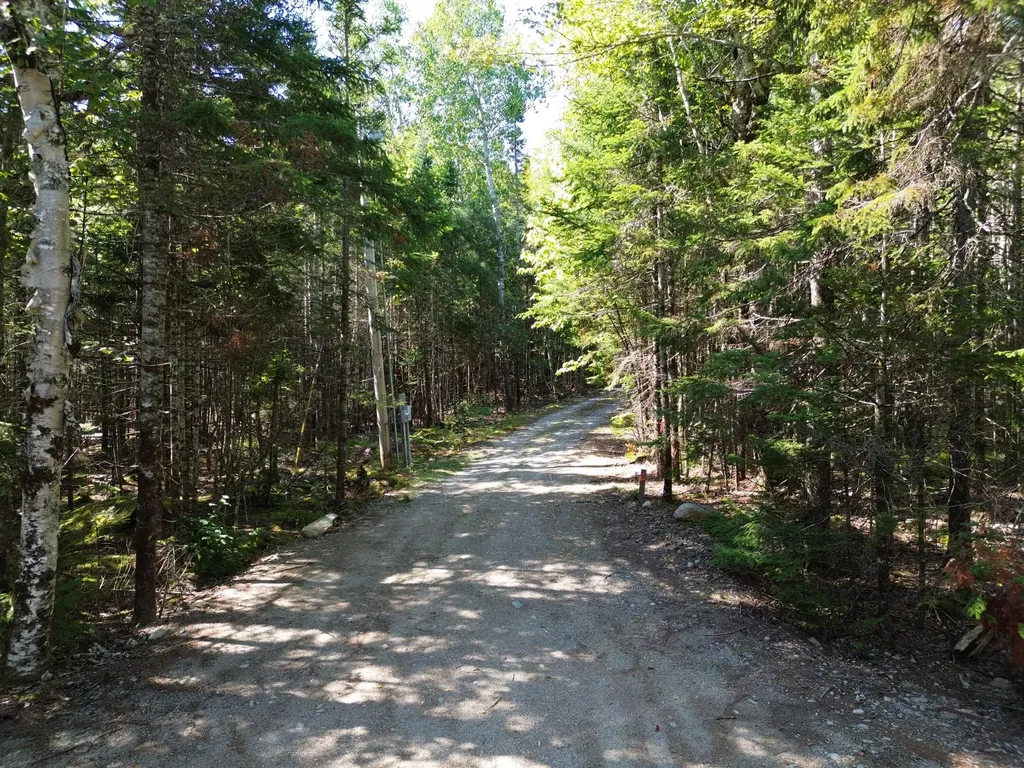 41 Sportsmen's Lodge Road Marshfield ME 04654