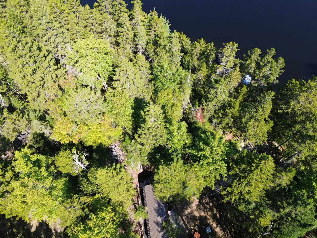 41 Sportsmen's Lodge Road Marshfield ME 04654