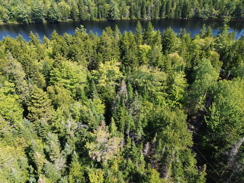 41 Sportsmen's Lodge Road Marshfield ME 04654