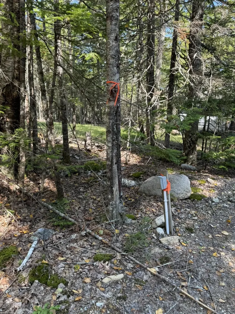 41 Sportsmen's Lodge Road Marshfield ME 04654