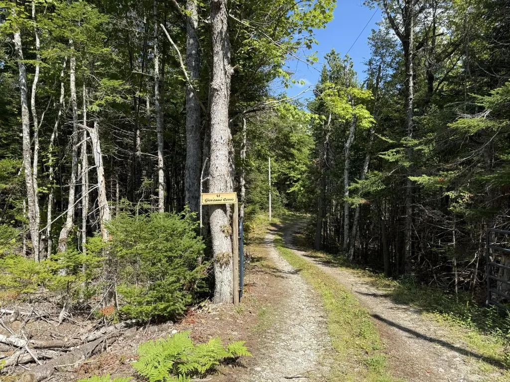 41 Sportsmen's Lodge Road Marshfield ME 04654