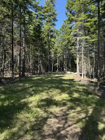 41 Sportsmen's Lodge Road Marshfield ME 04654