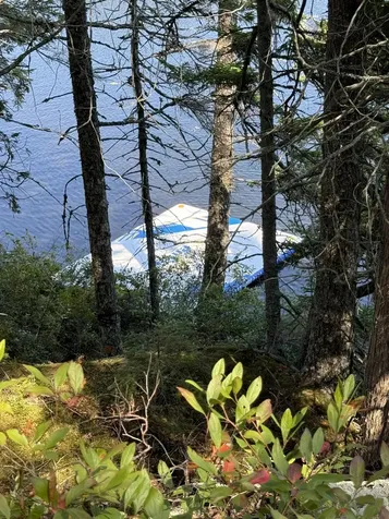 41 Sportsmen's Lodge Road Marshfield ME 04654