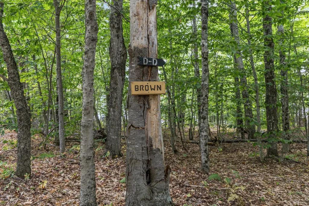Lot 32 Ross Farm Road Northeast Carry Twp ME 04441