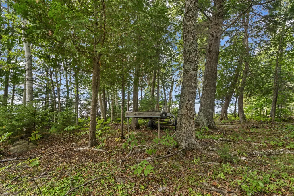 Lot 32 Ross Farm Road Northeast Carry Twp ME 04441