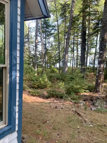 141 Meddybemps Shores Road Alexander ME 04694