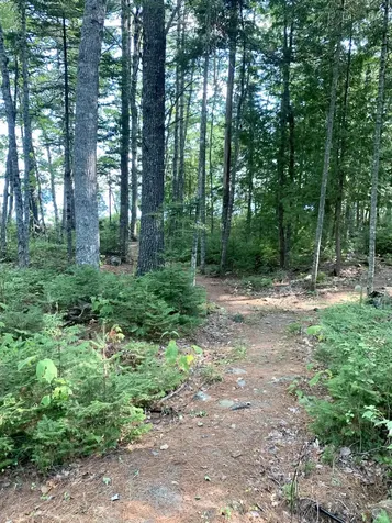 141 Meddybemps Shores Road Alexander ME 04694
