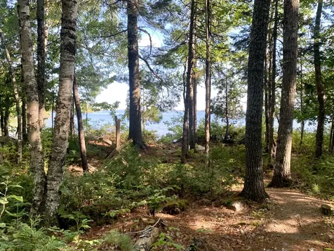 141 Meddybemps Shores Road Alexander ME 04694