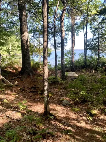 141 Meddybemps Shores Road Alexander ME 04694