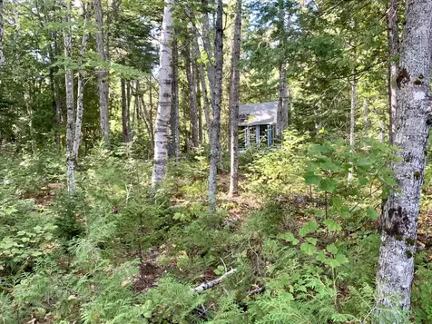 141 Meddybemps Shores Road Alexander ME 04694