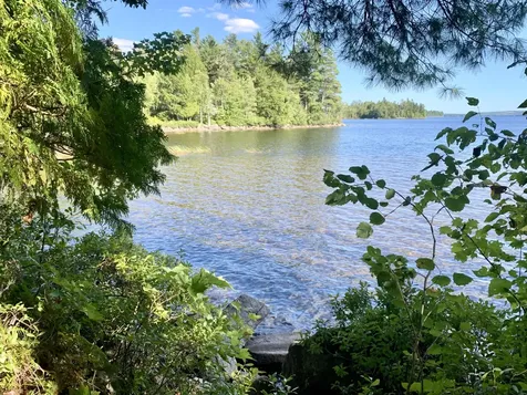 141 Meddybemps Shores Road Alexander ME 04694