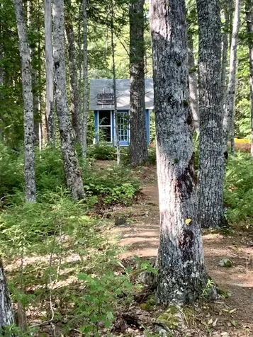 141 Meddybemps Shores Road Alexander ME 04694