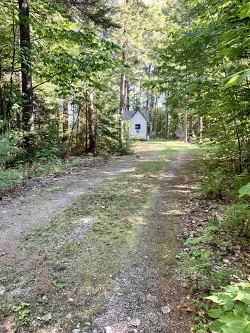 141 Meddybemps Shores Road Alexander ME 04694