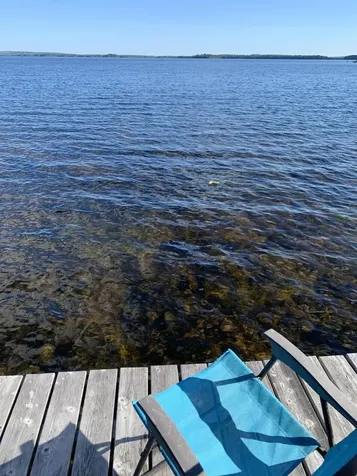 141 Meddybemps Shores Road Alexander ME 04694