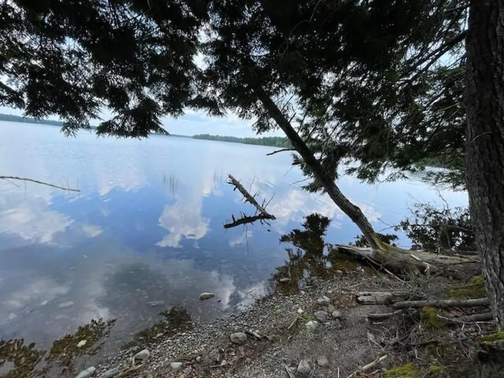 40 Blackcat Point Drive Princeton ME 04668