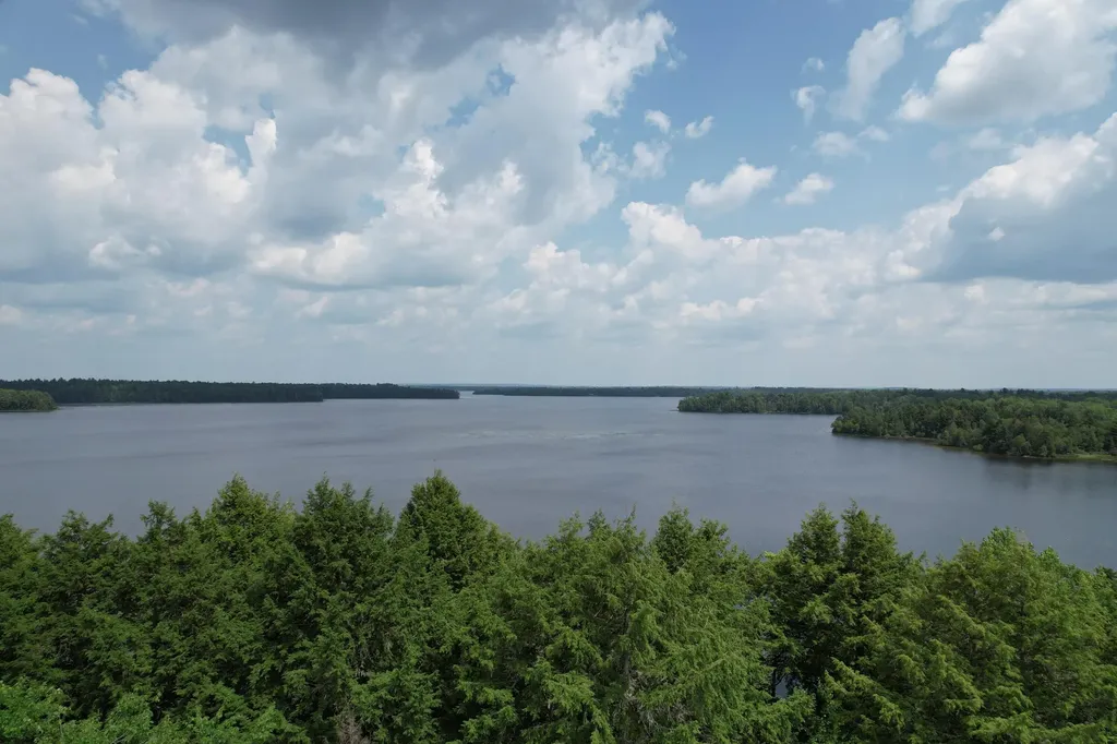 40 Blackcat Point Drive Princeton ME 04668
