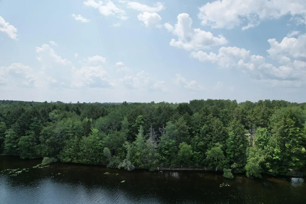 40 Blackcat Point Drive Princeton ME 04668