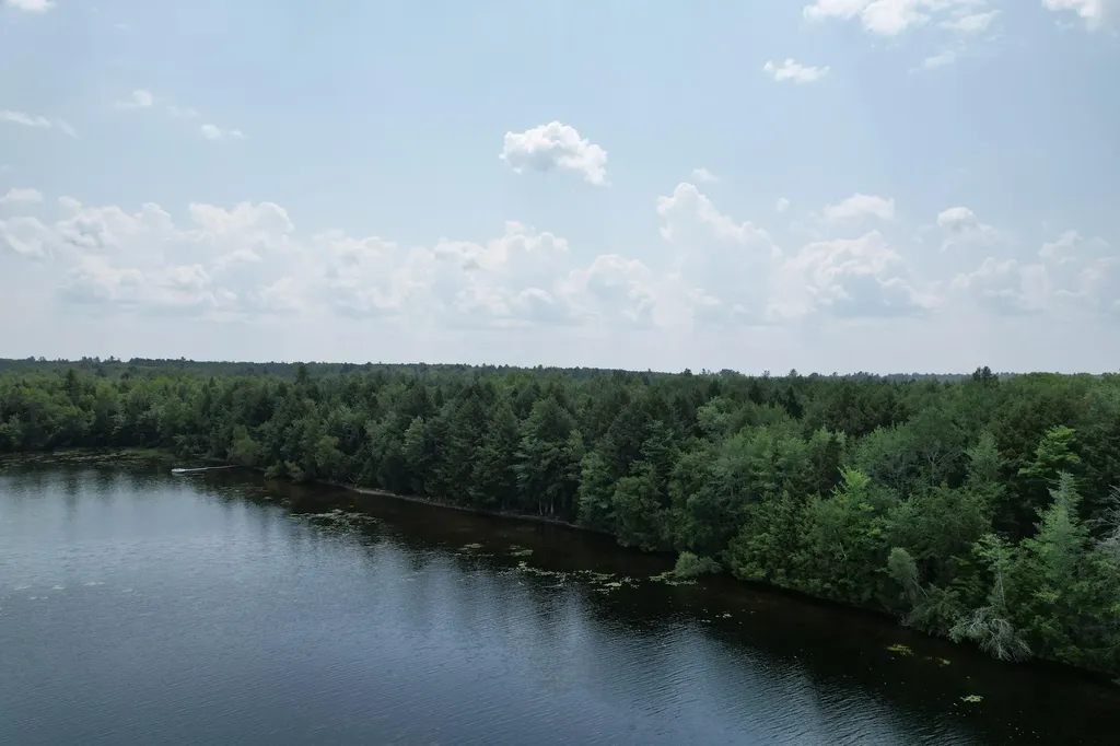 40 Blackcat Point Drive Princeton ME 04668