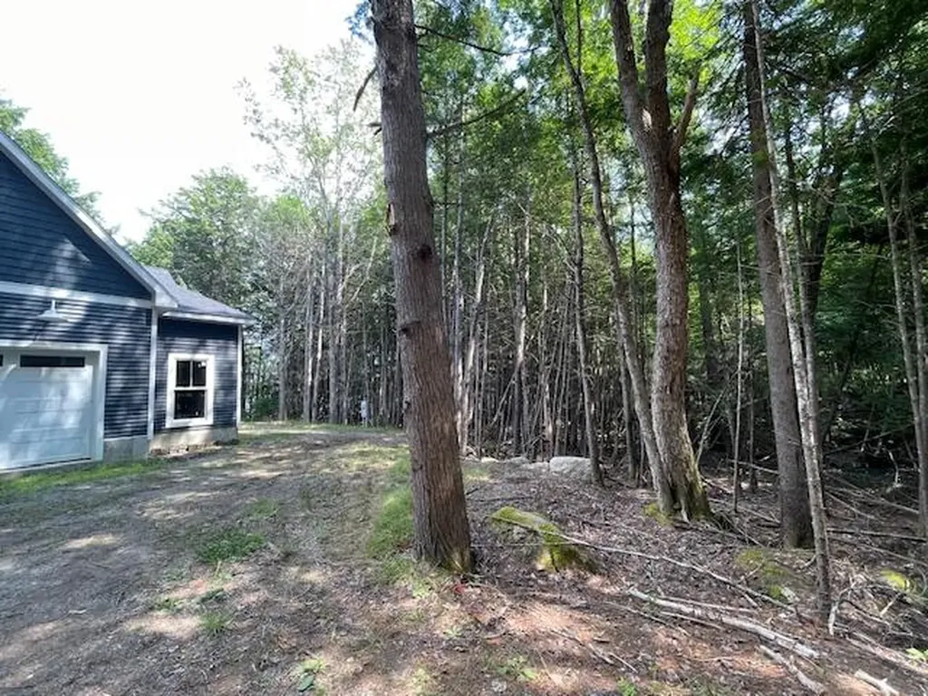40 Blackcat Point Drive Princeton ME 04668
