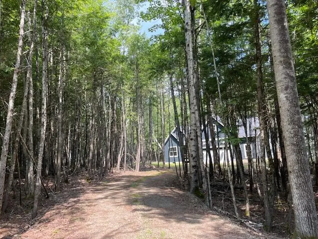 40 Blackcat Point Drive Princeton ME 04668