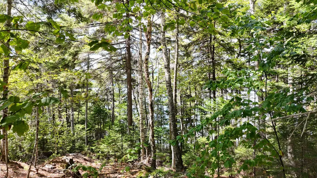 Lot 30 Wayne Avenue Greenville ME 04441