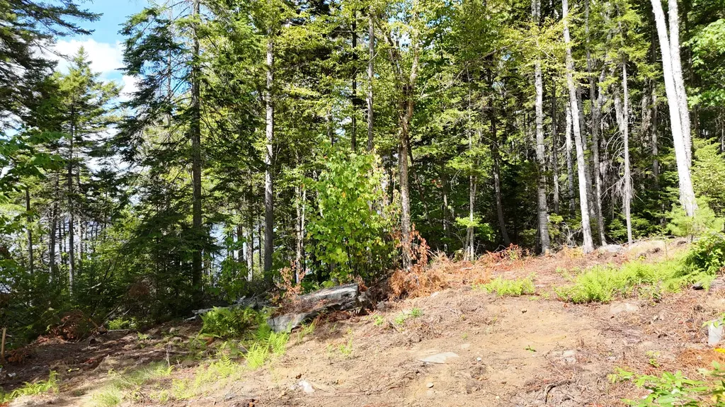 Lot 30 Wayne Avenue Greenville ME 04441