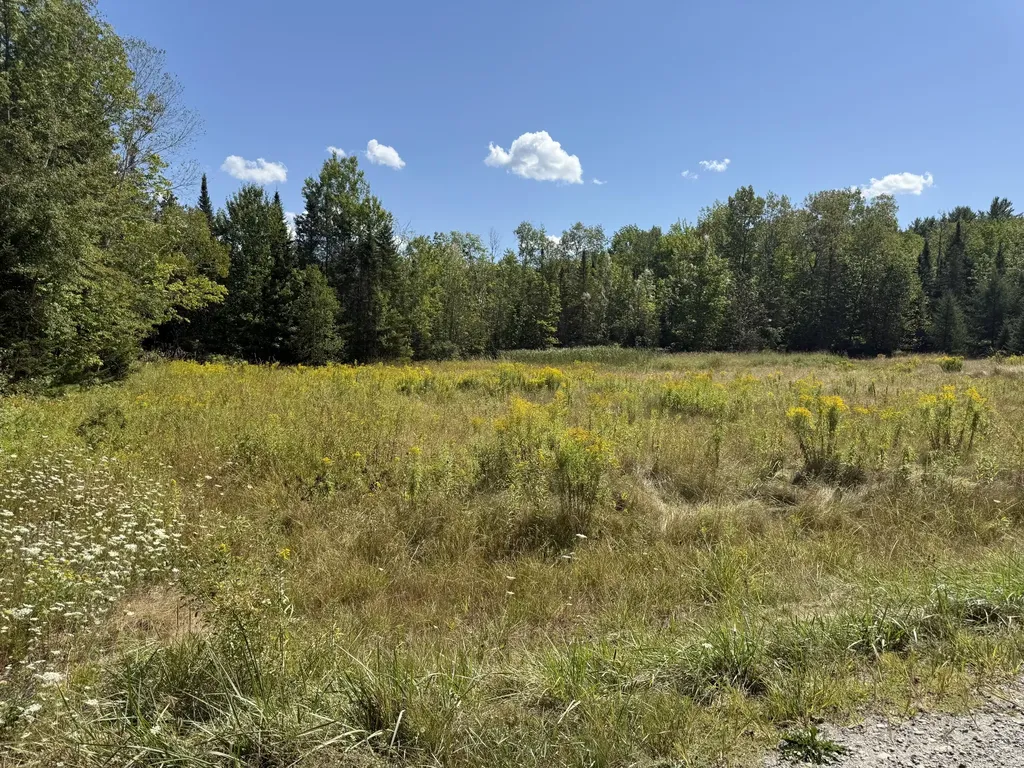 39 Burleigh Road Stetson ME 04488