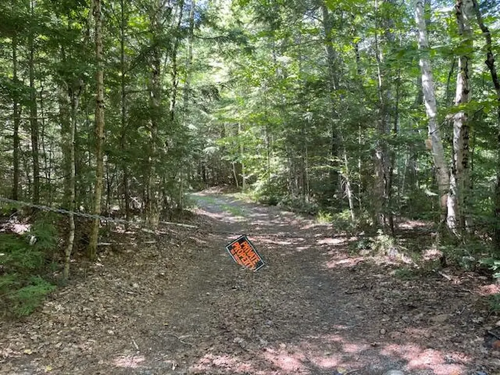 WA033 Sunset Cove Road Big Lake Twp ME 04668