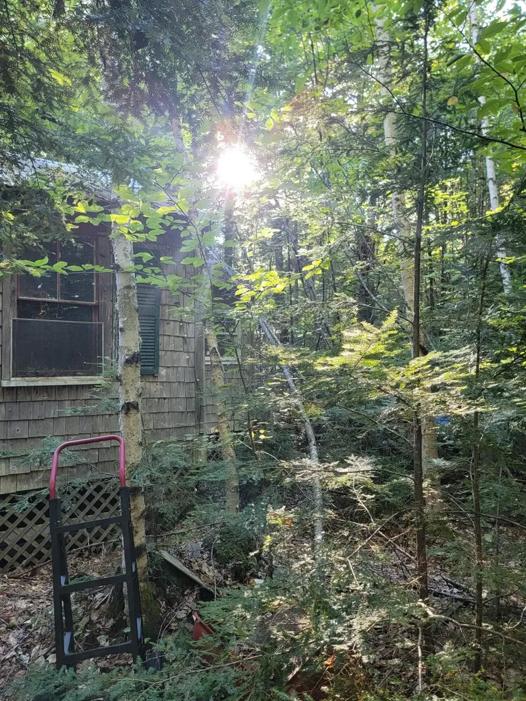 27 Trout Brook Road Mariaville ME 04605