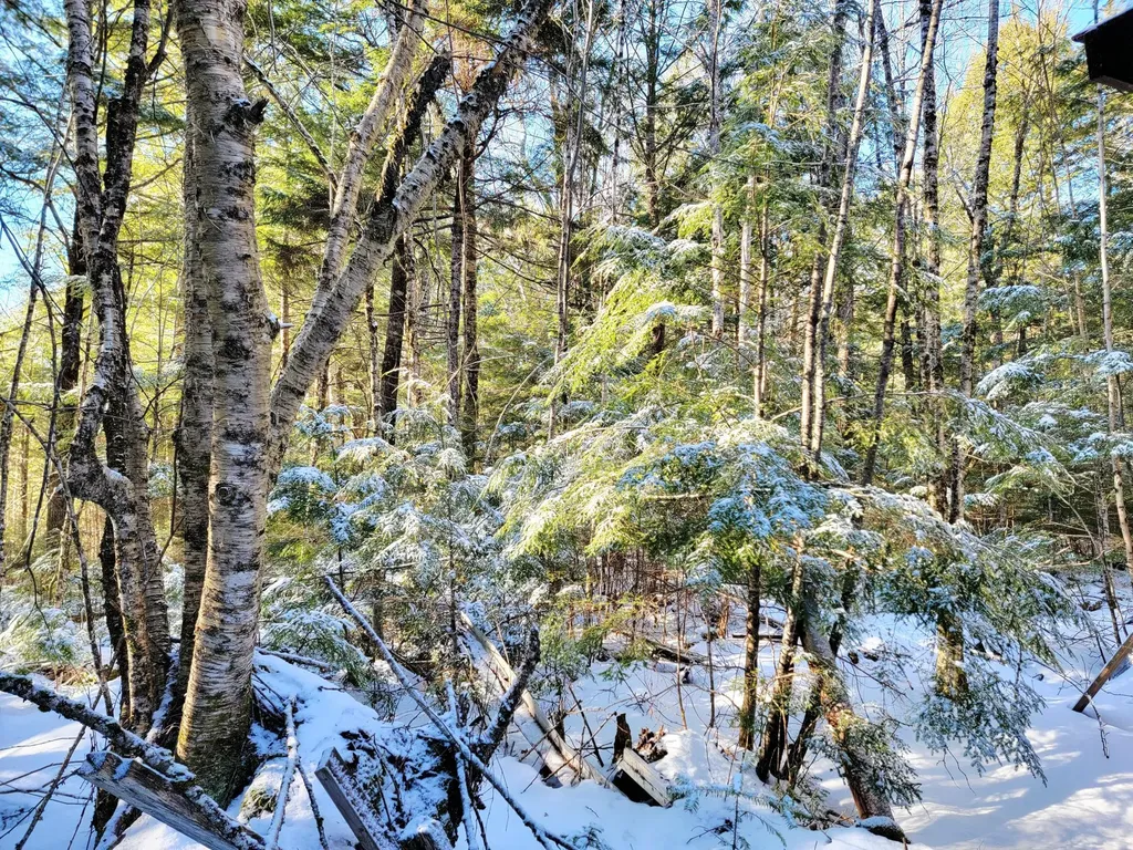 27 Trout Brook Road Mariaville ME 04605