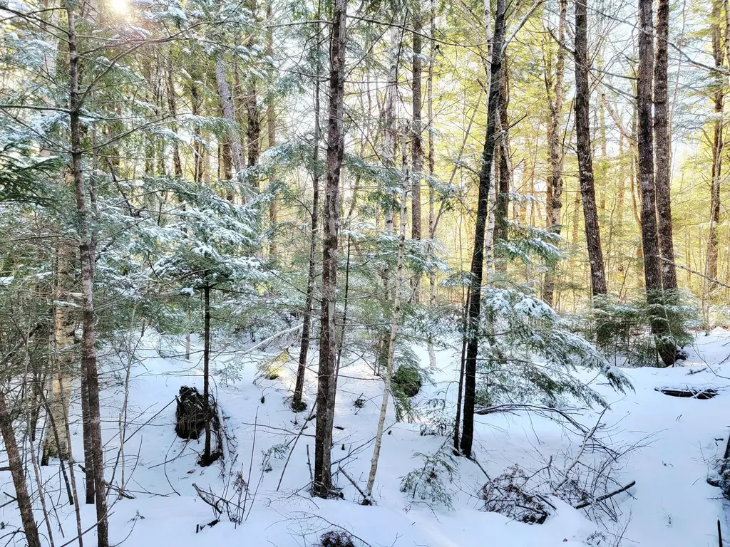 27 Trout Brook Road Mariaville ME 04605