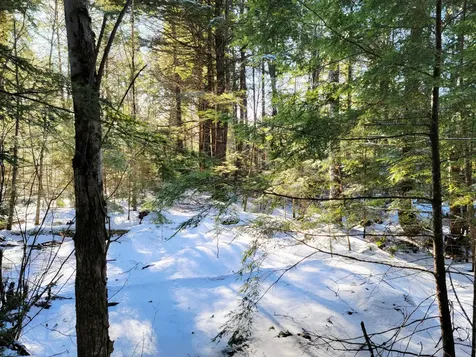 27 Trout Brook Road Mariaville ME 04605