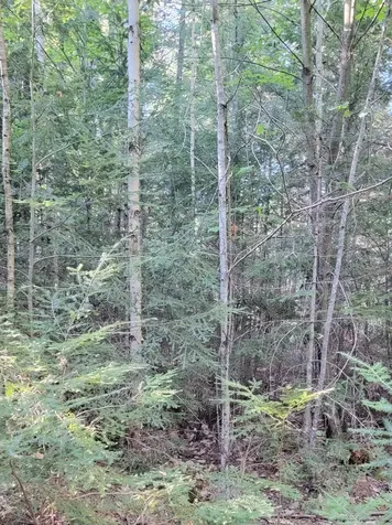 27 Trout Brook Road Mariaville ME 04605