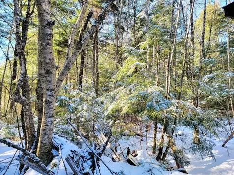 27 Trout Brook Road Mariaville ME 04605
