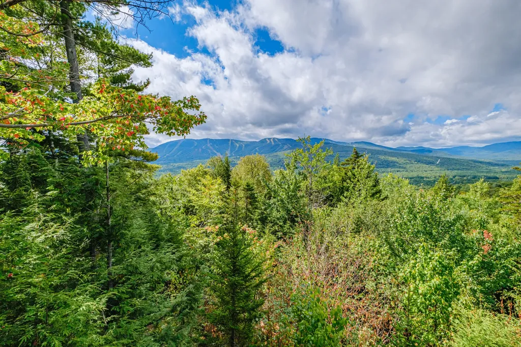 Lot 86 Powder Ridge Subdivision Road Newry ME 04261