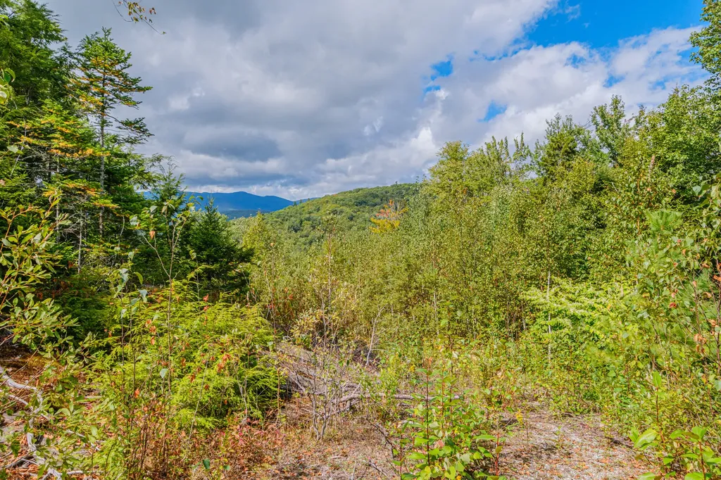 Lot 86 Powder Ridge Subdivision Road Newry ME 04261