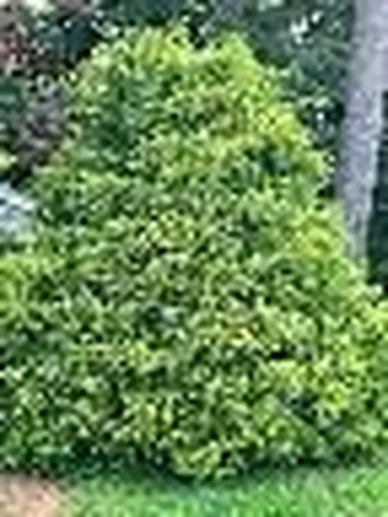 8 Fairview Drive Lisbon ME 04250