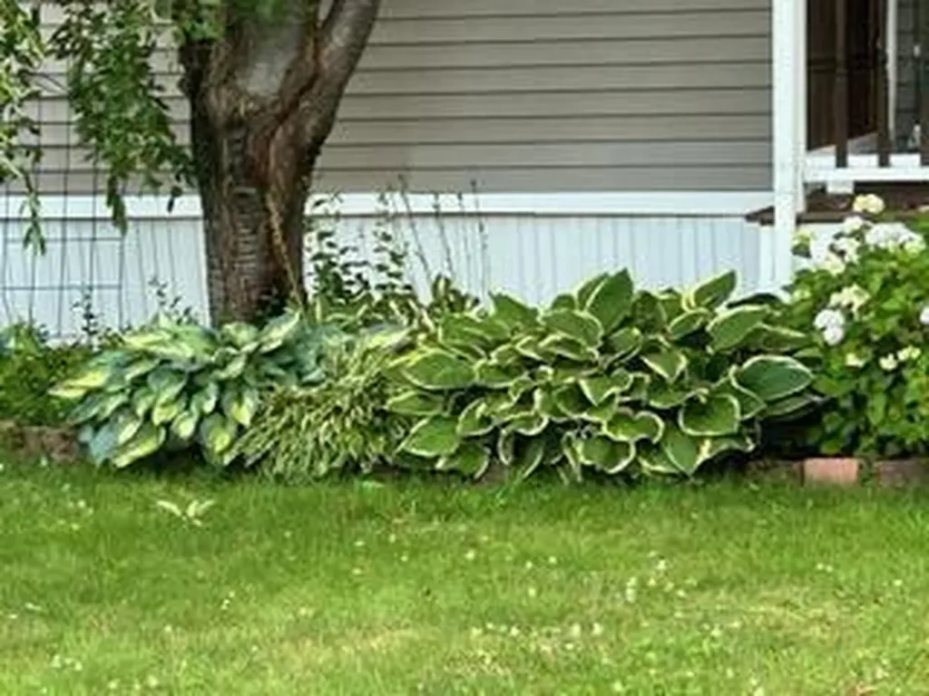 8 Fairview Drive Lisbon ME 04250