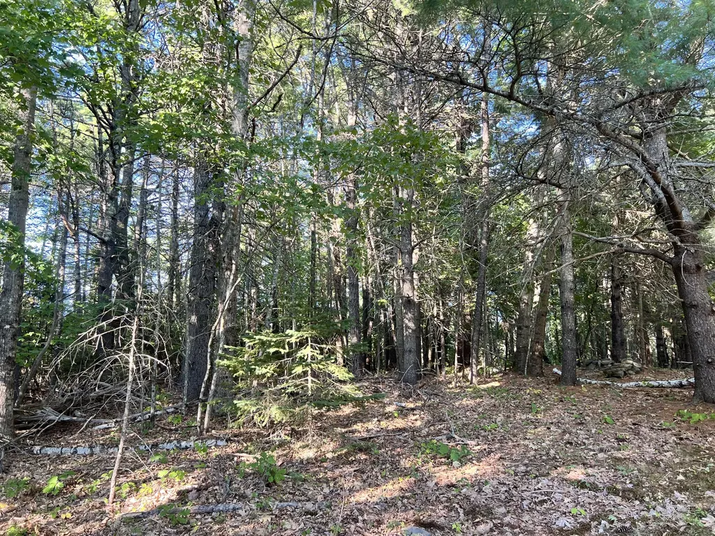 1068 Main Road Eddington ME 04428