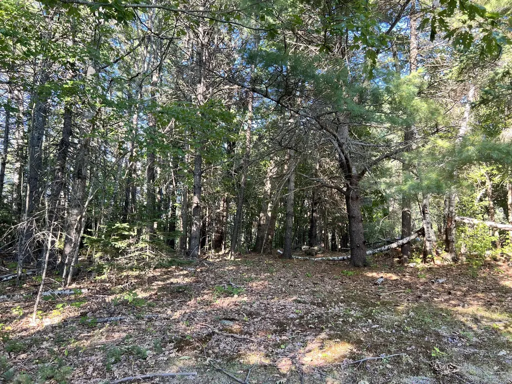 1068 Main Road Eddington ME 04428