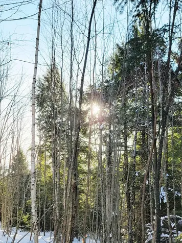 B-2BACKLOT Pioneer Path Aurora ME 04605