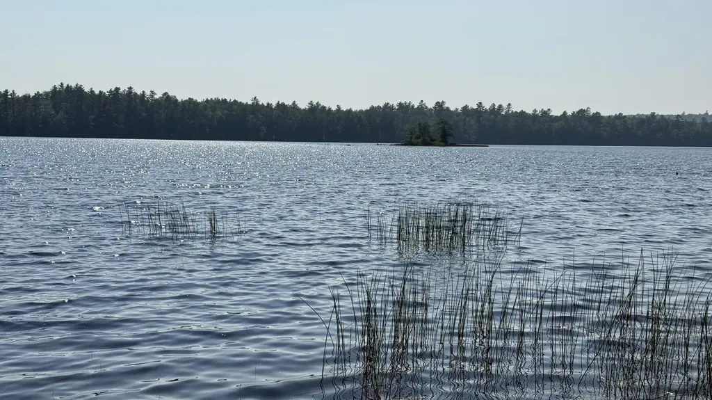 Lot #1 Bucksport Road Ellsworth ME 04605