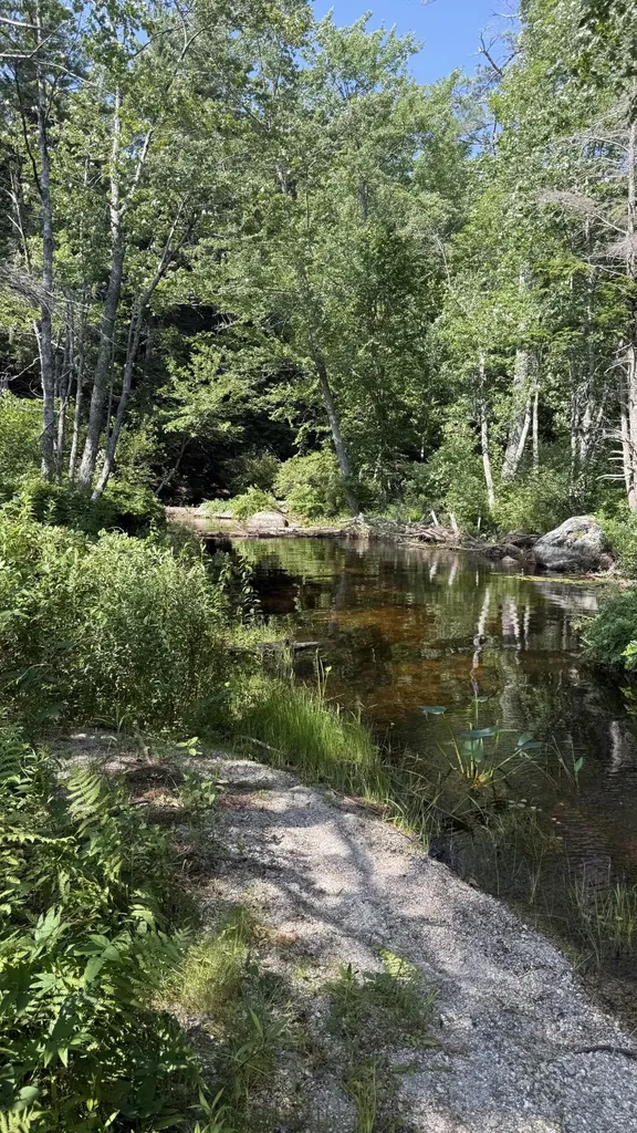 Lot #1 Bucksport Road Ellsworth ME 04605